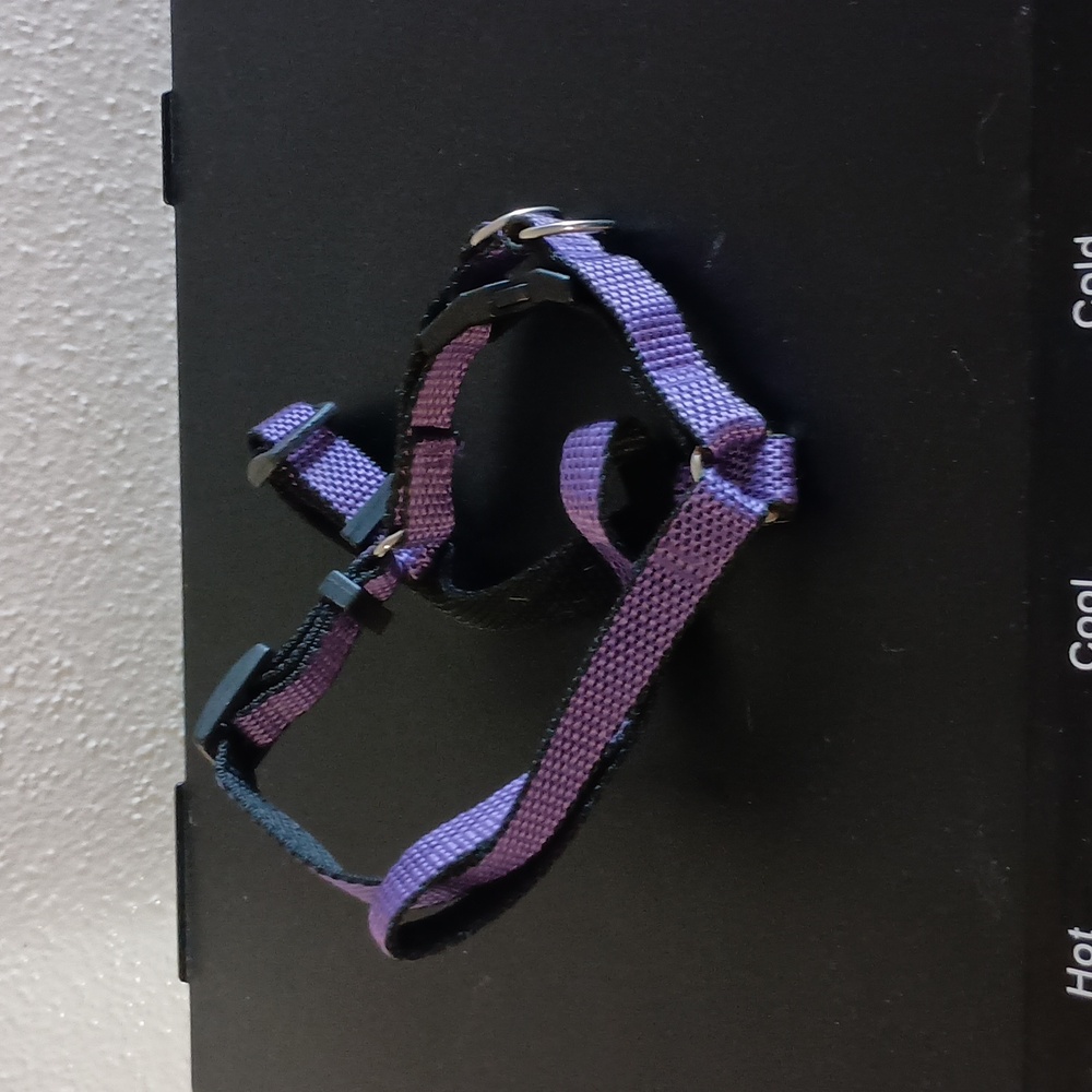 Small Dog Accessory Set Of 17 - Picture 2 of 15